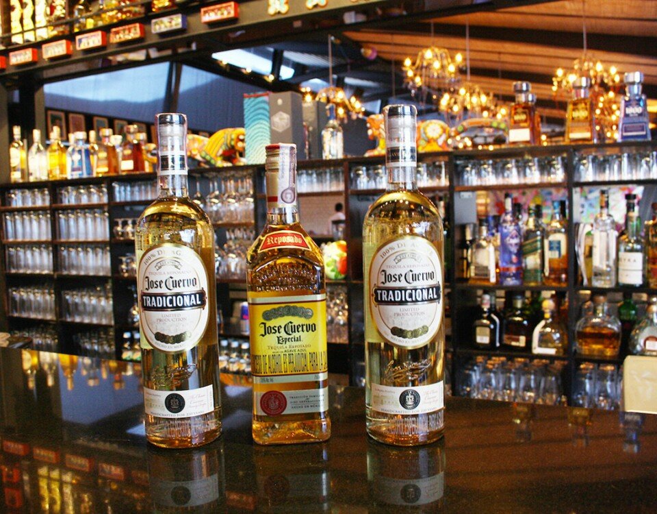JoseCuervoEnElTecho