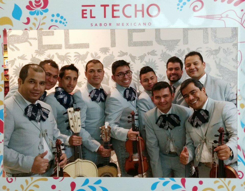 marcotecho2