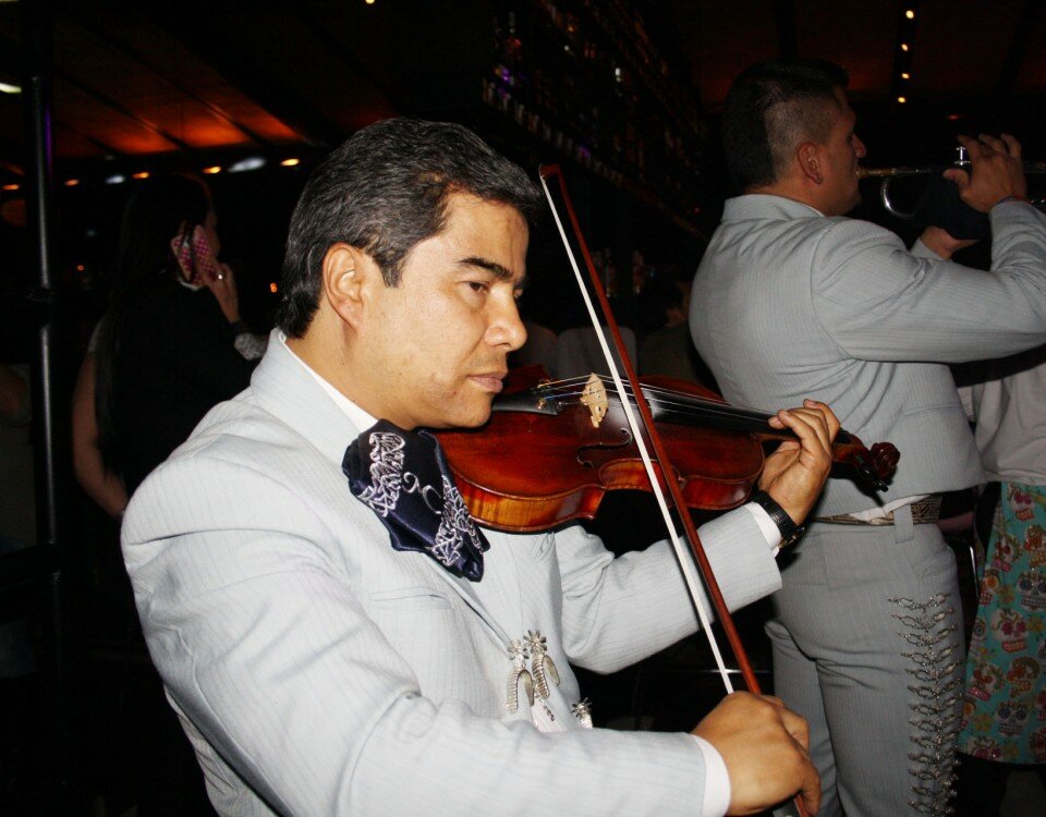 violinwg